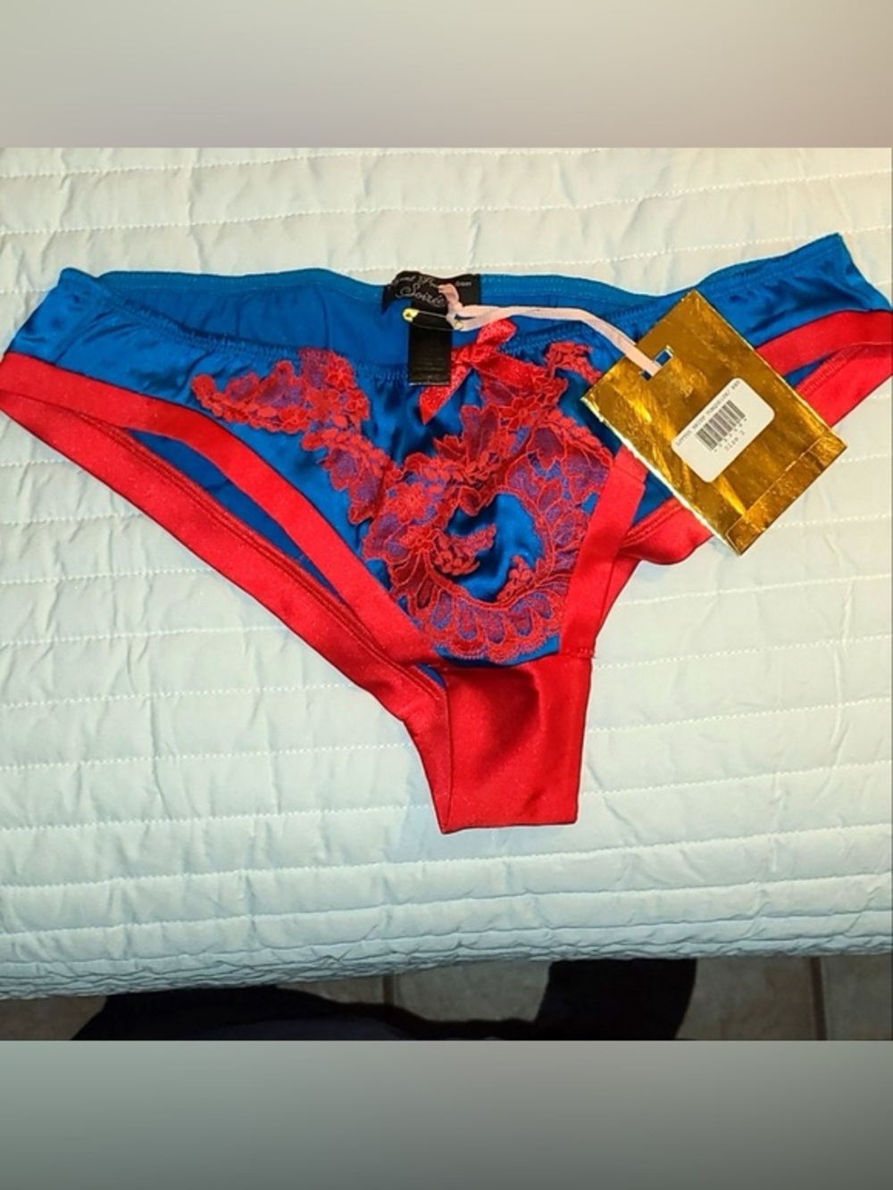 NWT Agent Provocateur Lottus brief Turquois/Red Size 4/L